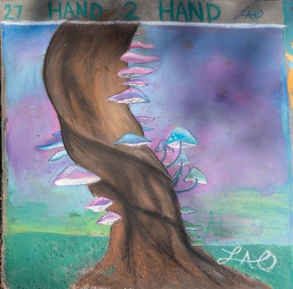 27